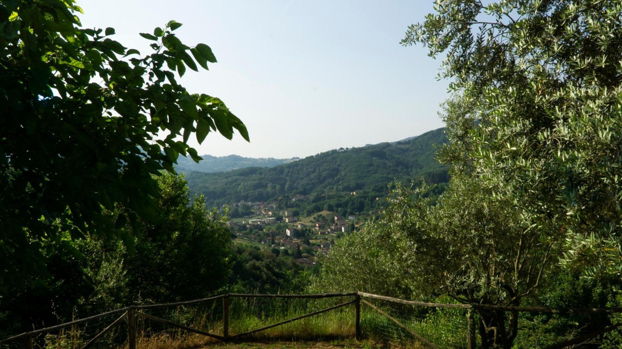 Borgo Giusto Tuscany 博尔戈阿莫扎诺 外观 照片